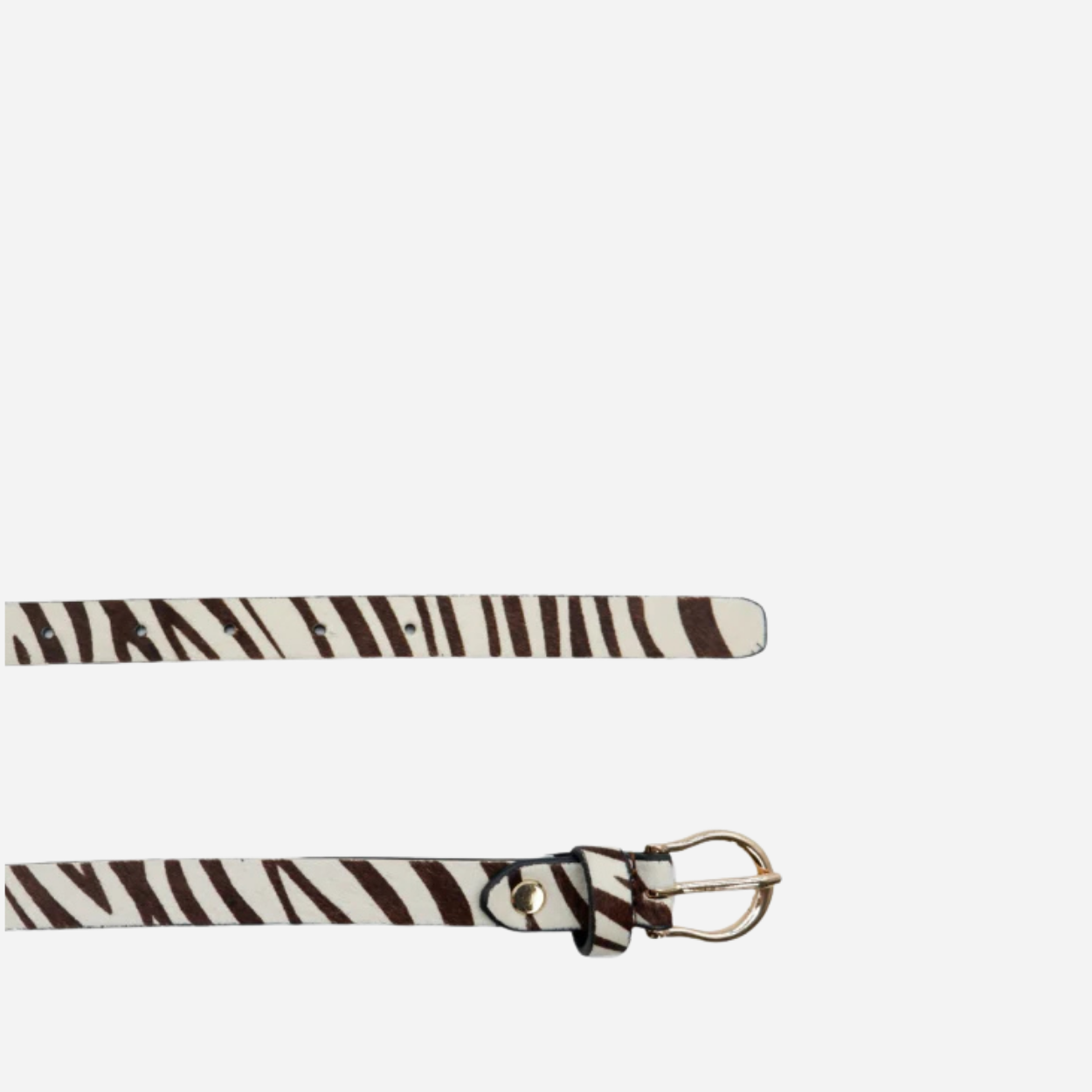 Trend Setter | Classic Zebra Girl Gift Set