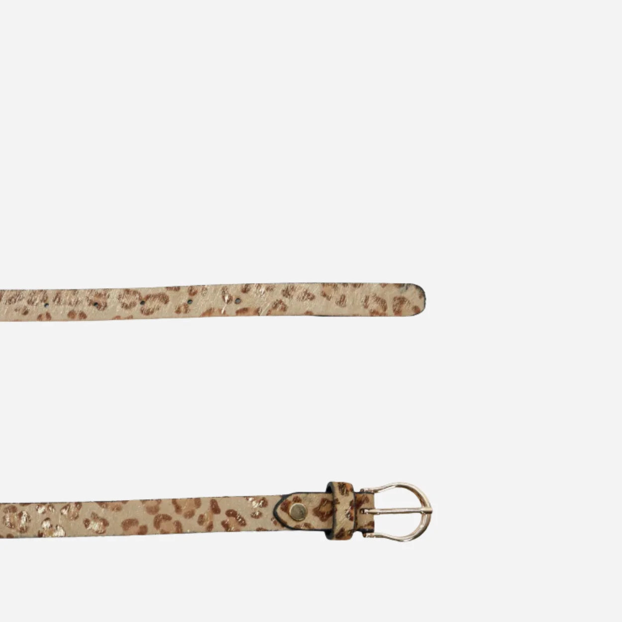 Trend Setter | Preppy Leopard Girl