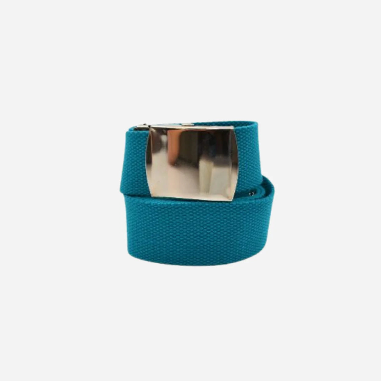 Punchbowl Canva Belt with Silver Buckle