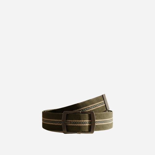 Fredrick Olive Cotton Webbing Unisex Belt - BeltNBags