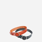 MIRANDA - Women's Black Genuine Leather Belt