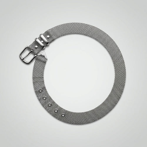 Margaux Women's Silver Metal Mesh Belt