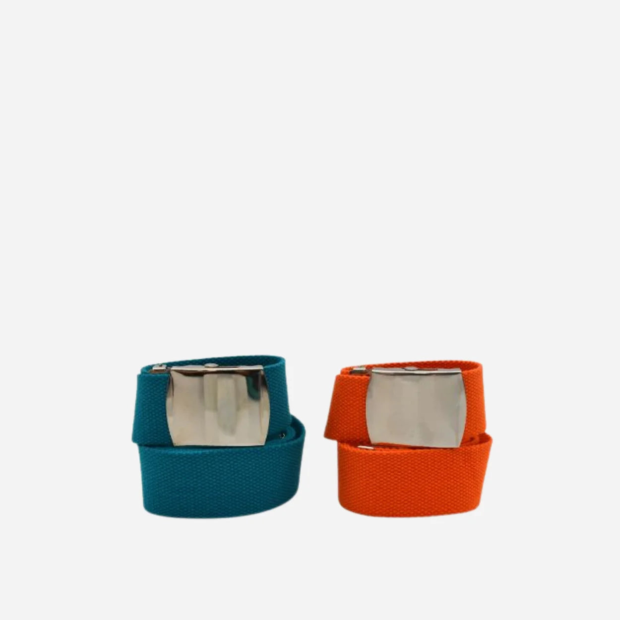 Punchbowl Canva Belt with Silver Buckle